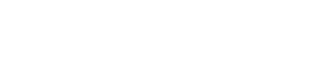 NPath Logo
